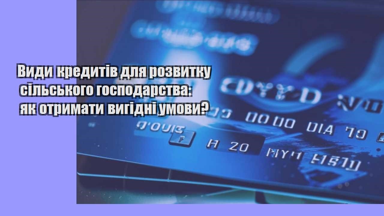 Види кредитів для розвитку сільського господарства: як отримати вигідні умови?